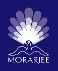 Owl Image